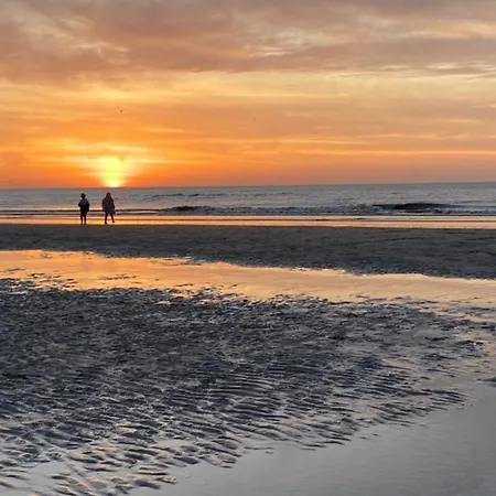 Lejlighed Stop & 2 Zandvoort