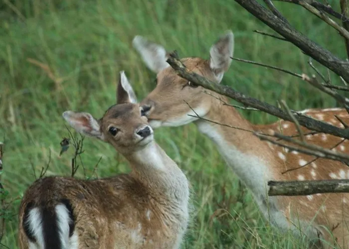 Stop & 2 Apartamento